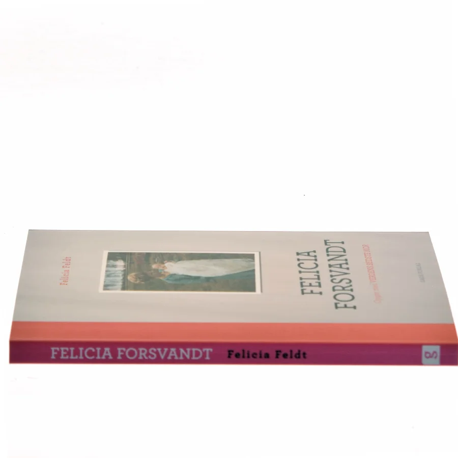 Felicia forsvandt af Felicia Feldt (Bog)