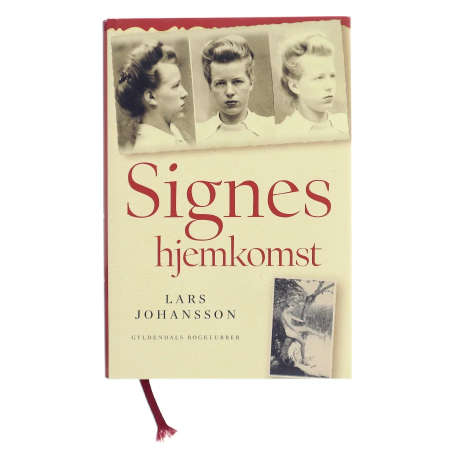 Signes hjemkomst : roman af Lars Johansson (f. 1949) (Bog)