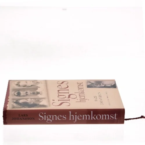 Signes hjemkomst : roman af Lars Johansson (f. 1949) (Bog)