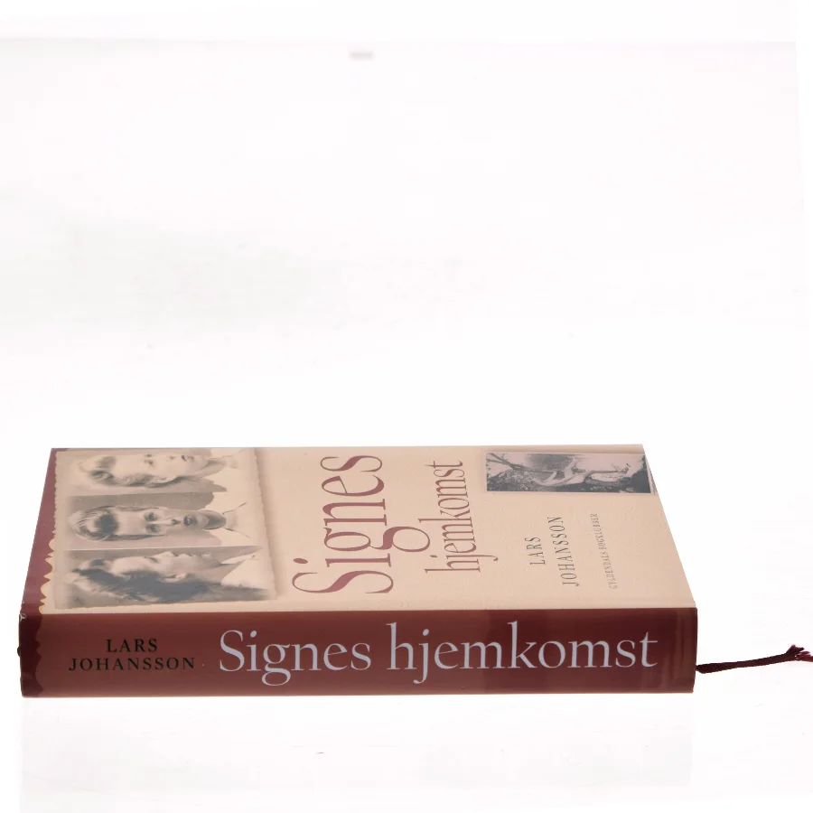 Signes hjemkomst : roman af Lars Johansson (f. 1949) (Bog)