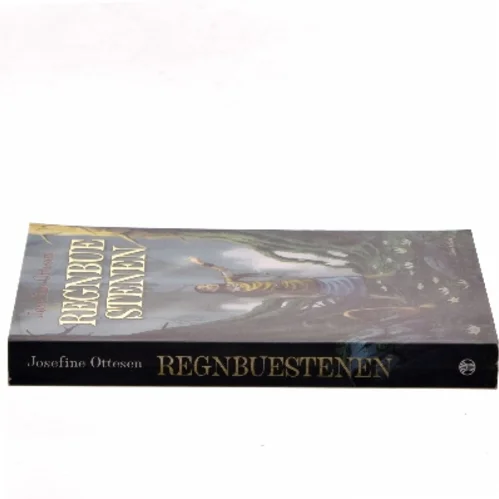 Regnbuestenen af Josefine Ottesen (Bog)