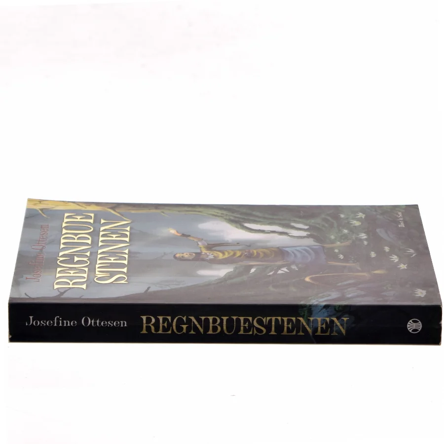 Regnbuestenen af Josefine Ottesen (Bog)