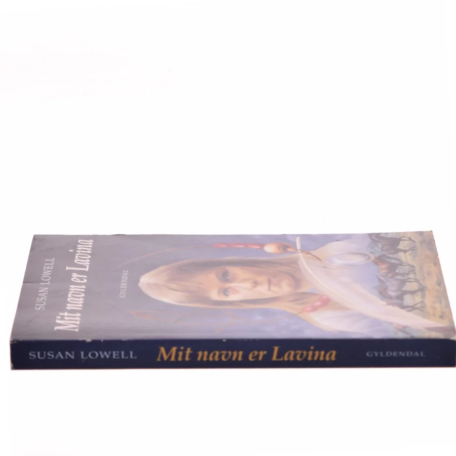 Mit navn er Lavina af Susan Lowell (Bog)