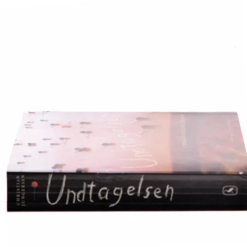 Undtagelsen af Christian Jungersen (Bog)