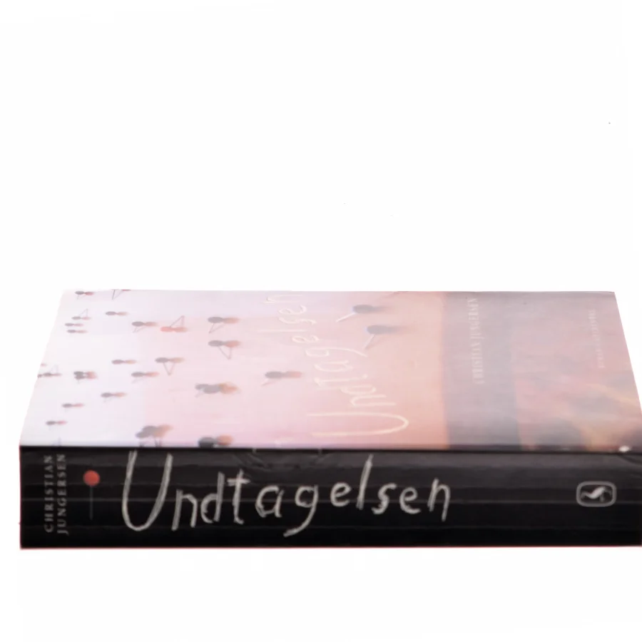 Undtagelsen af Christian Jungersen (Bog)