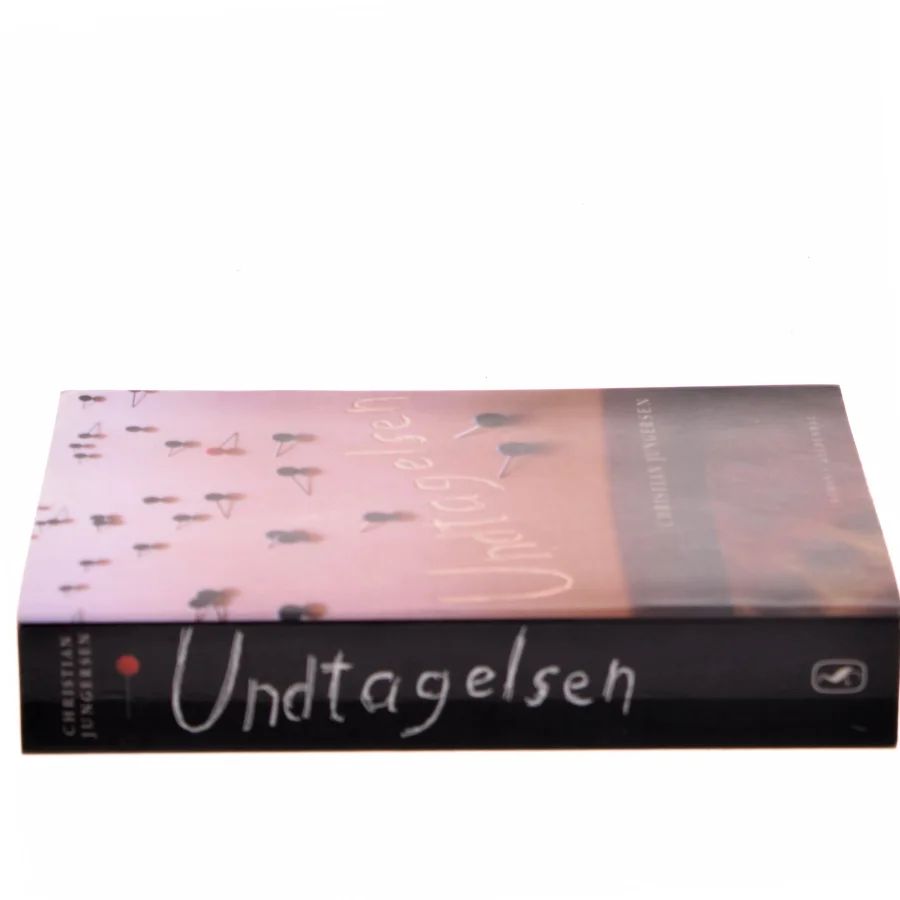 Undtagelsen af Christian Jungersen (Bog)