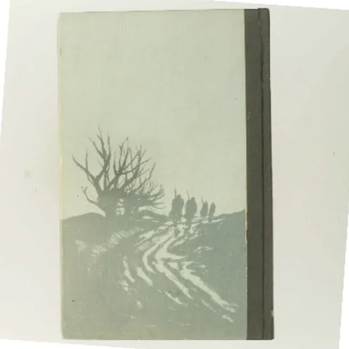 Tine af Herman Bang (Bog)