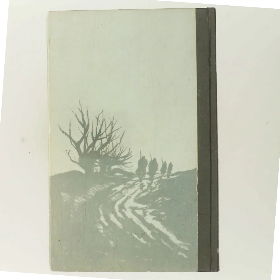 Tine af Herman Bang (Bog)
