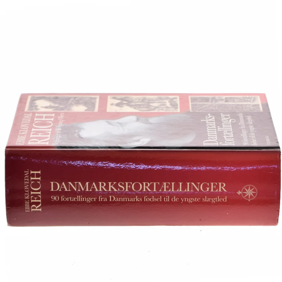 Danmarksfortællinger : 90 fortællinger fra Danmarks fødsel til de yngste slægtled af Ebbe Kløvedal Reich (Bog)