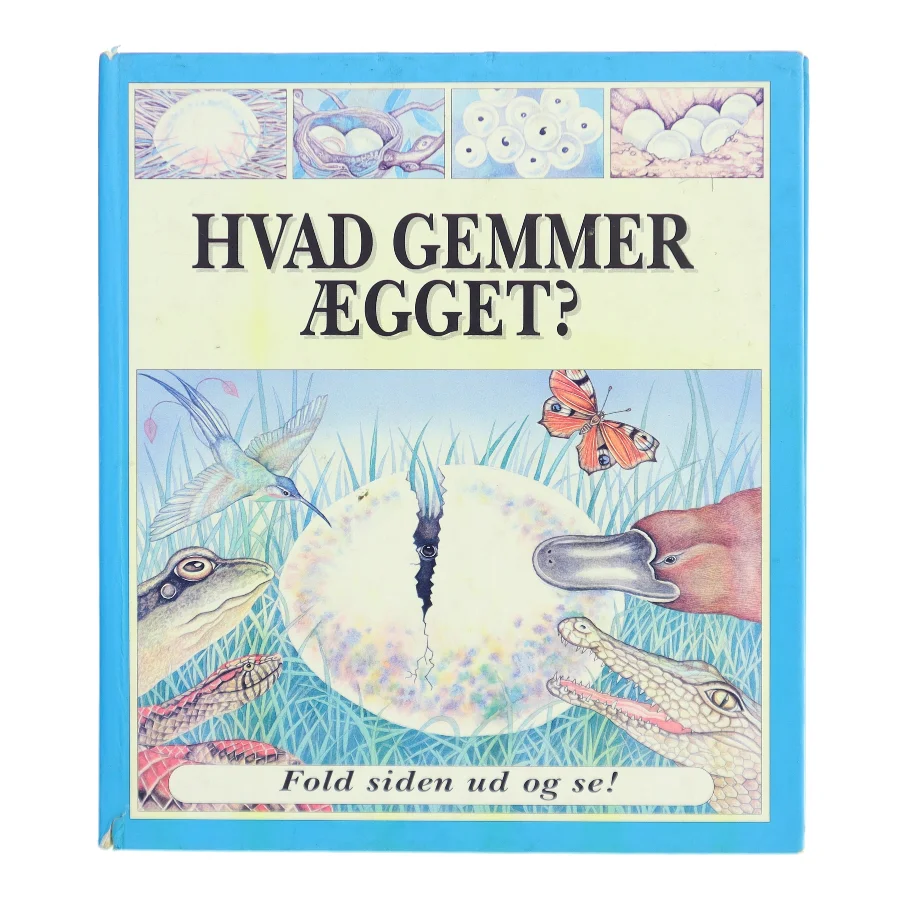 Hvad gemmer ægget? af A. J. Wood (Bog)