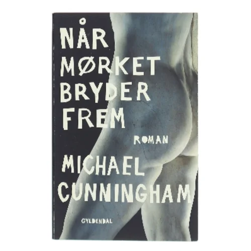 Når mørket bryder frem af Michael Cunningham (Bog)