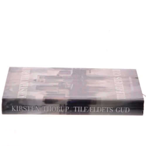 Tilfældets gud : roman af Kirsten Thorup (Bog)