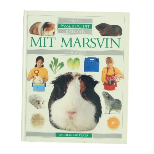 Mit marsvin af Mark Evans (f. 1962) (Bog)