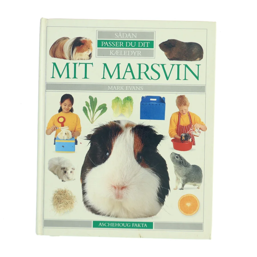 Mit marsvin af Mark Evans (f. 1962) (Bog)
