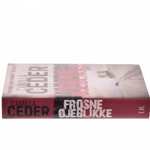 Frosne øjeblikke af Camilla Ceder (Bog)