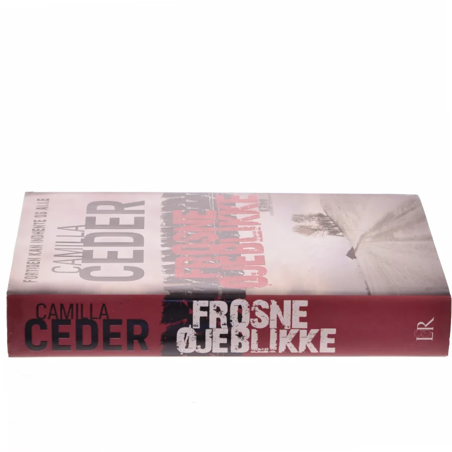 Frosne øjeblikke af Camilla Ceder (Bog)