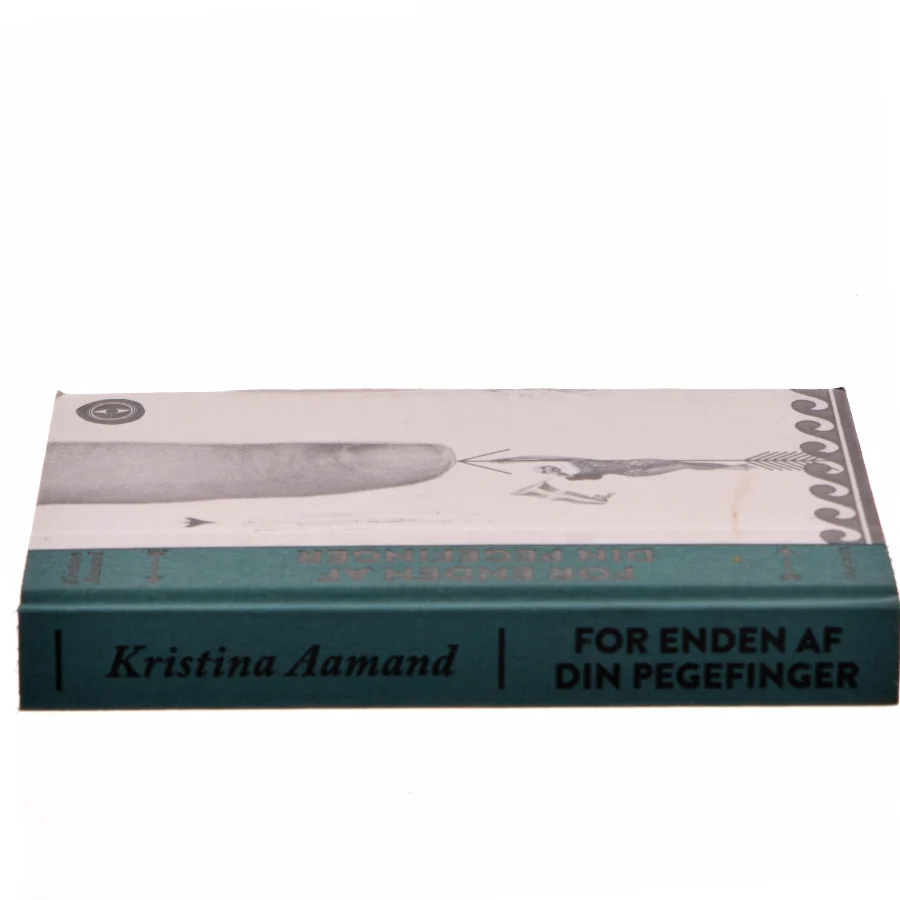 For enden af din pegefinger af Kristina Aamand (Bog)