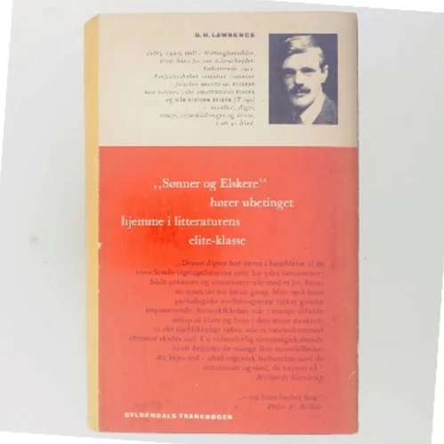 Sønner og elskere af D. H. Lawrence (Bog)