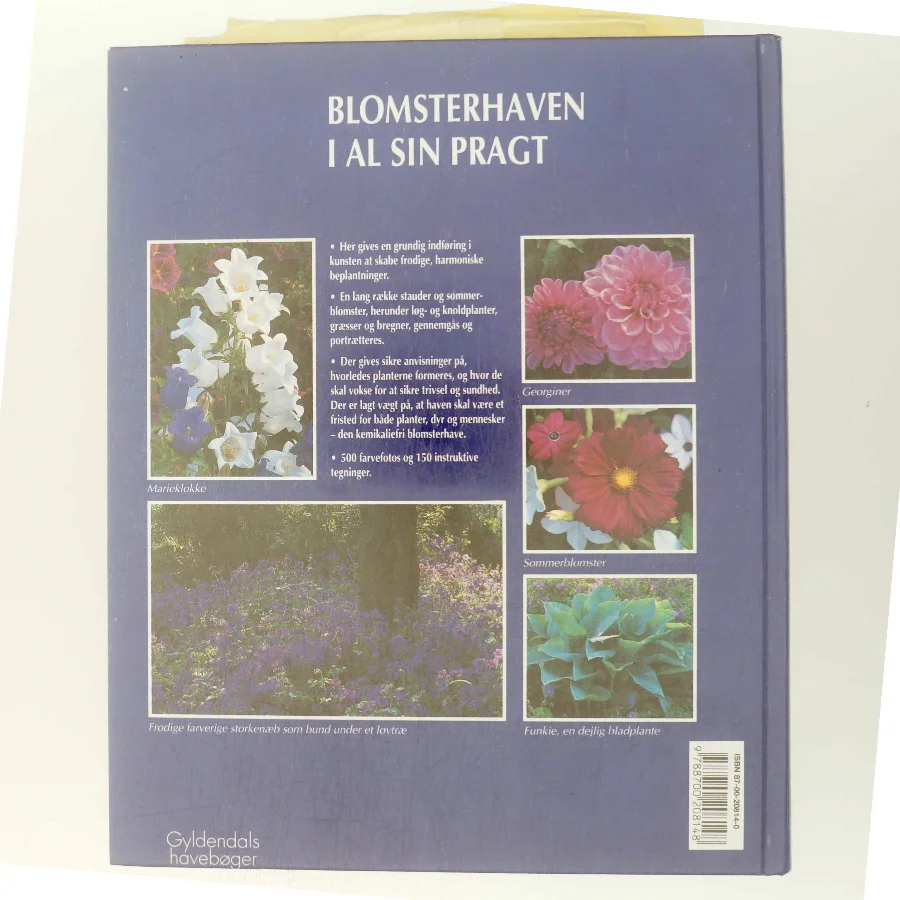 Blomsterhaven : portrætter og plejetips : beplantningsideer til store og små haver (Bog)