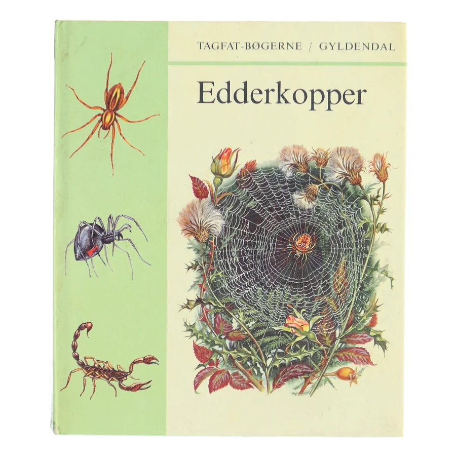 Edderkopper (Bog)