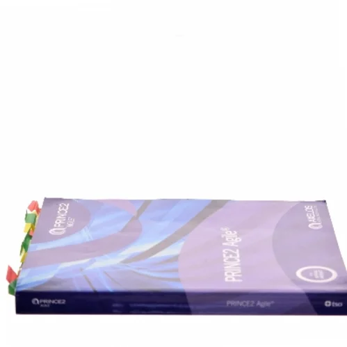 PRINCE2 Agile af AXELOS (Bog)