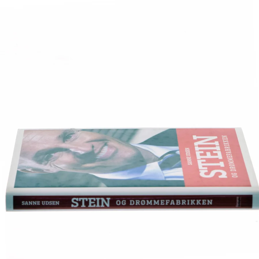 Stein og drømmefabrikken af Sanne Udsen (Bog)