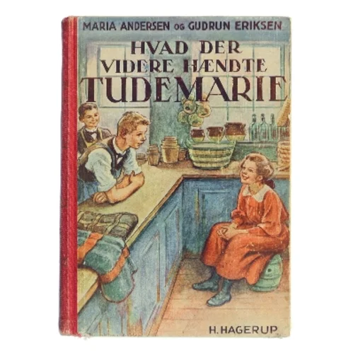Hvad der videre hændte Tude-Marie (Bog)