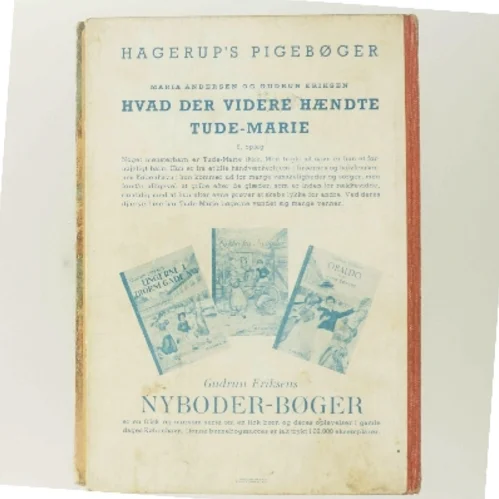 Hvad der videre hændte Tude-Marie (Bog)