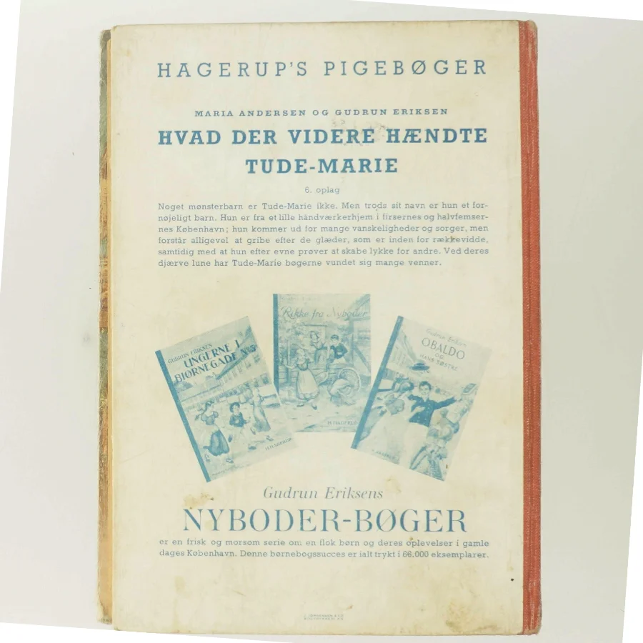 Hvad der videre hændte Tude-Marie (Bog)
