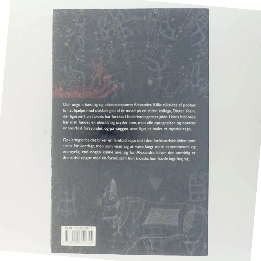 Femte sol brænder : roman af Michael Larsen (f. 1961) (Bog)