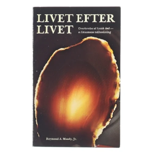 Livet efter livet af Raymond A. Moody Jr. (Bog)