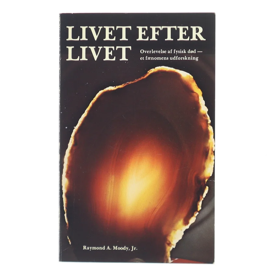 Livet efter livet af Raymond A. Moody Jr. (Bog)