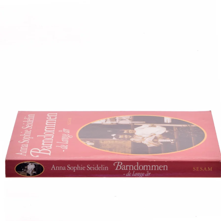 Barndommen - de lange år af Anna Sophie Seidelin (Bog)