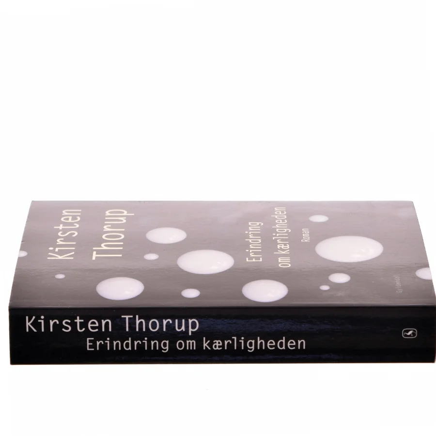 Erindring om kærligheden : roman af Kirsten Thorup (Bog)