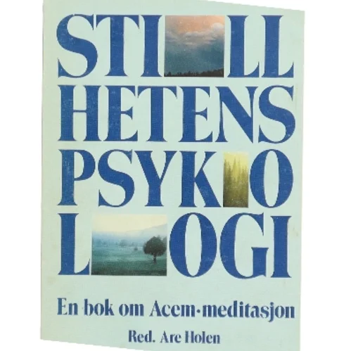 Stillehetens psykologi af Are Holen (red.) (Bog)