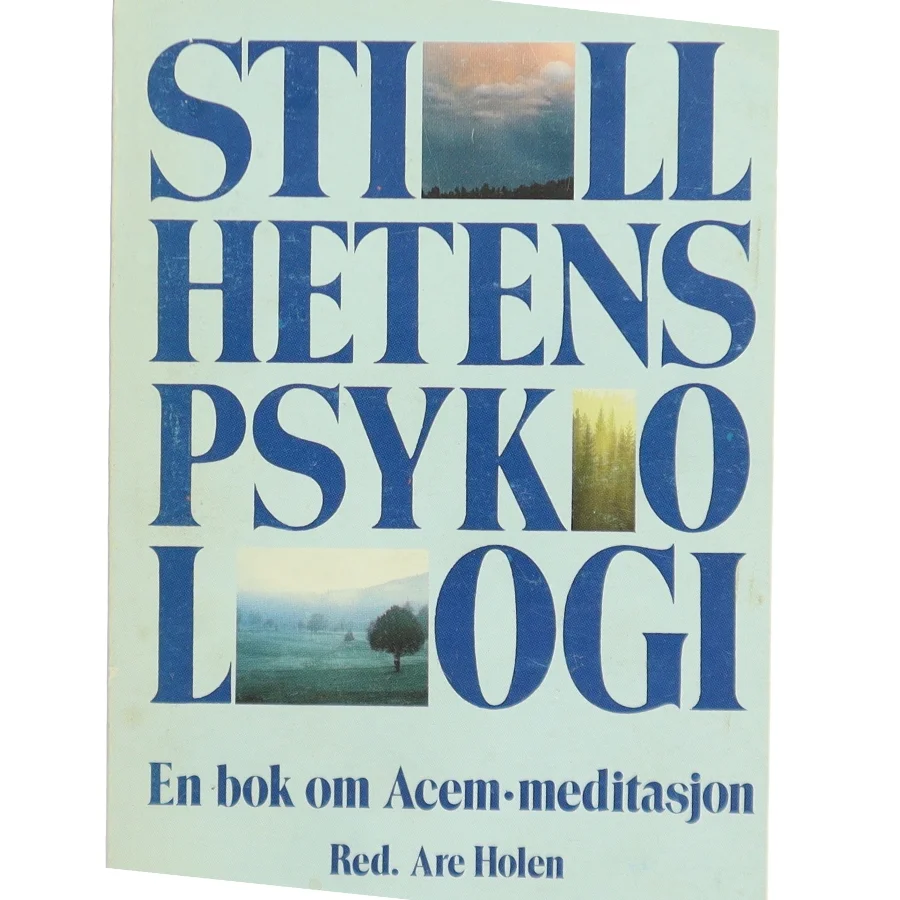Stillehetens psykologi af Are Holen (red.) (Bog)