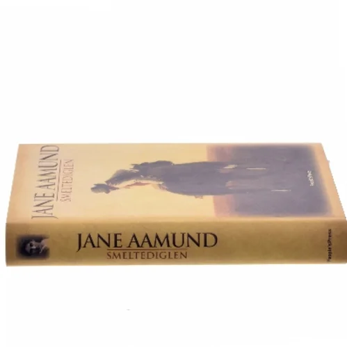 Smeltediglen : andet bind i slægtskrøniken om de dansk-argentinske indvandrere : roman af Jane Aamund (Bog)