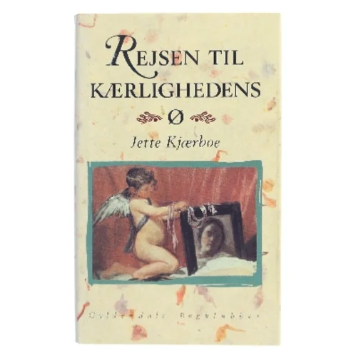 Rejsen til kærlighedens ø af Jette Kjærboe (Bog)