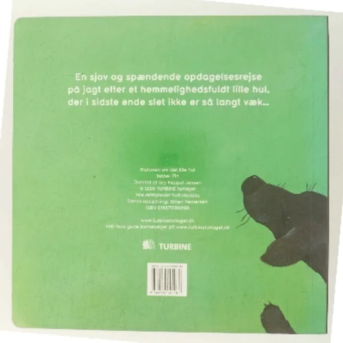 Historien om det lille hul af Isabel Pin (Bog)