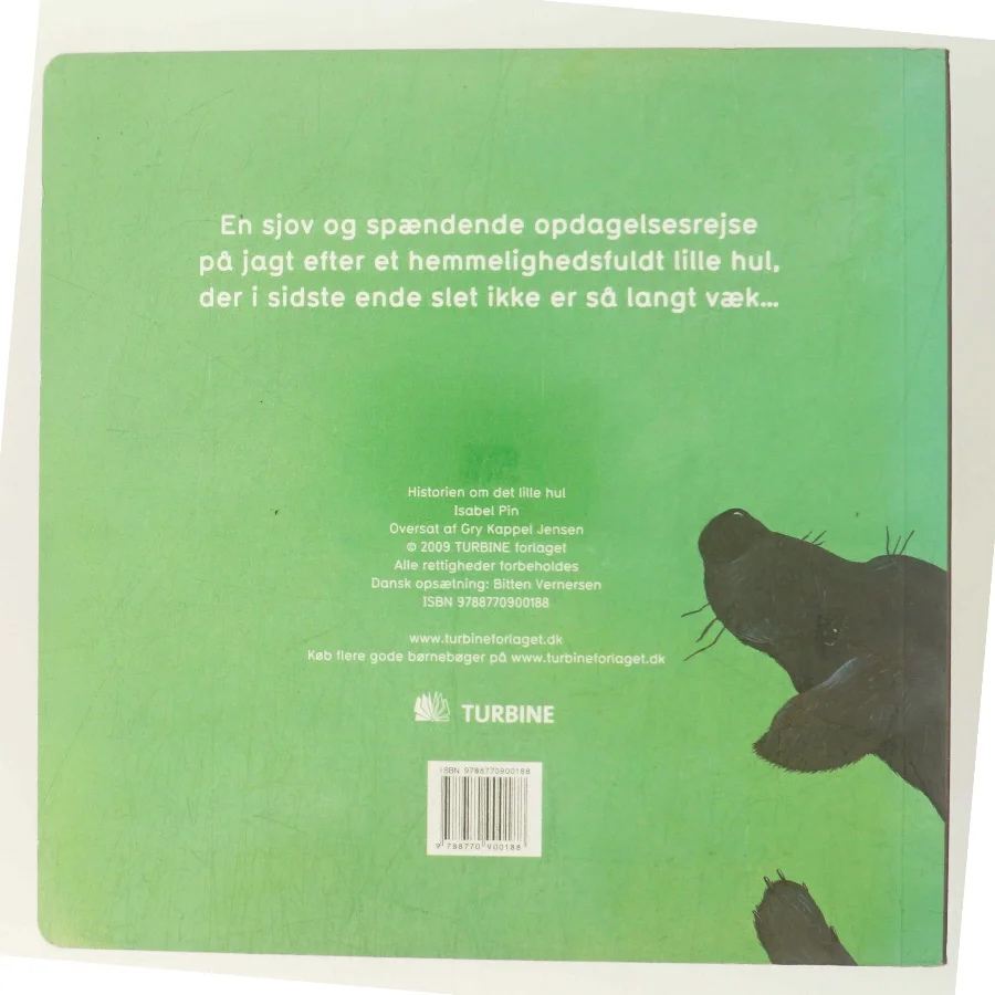 Historien om det lille hul af Isabel Pin (Bog)