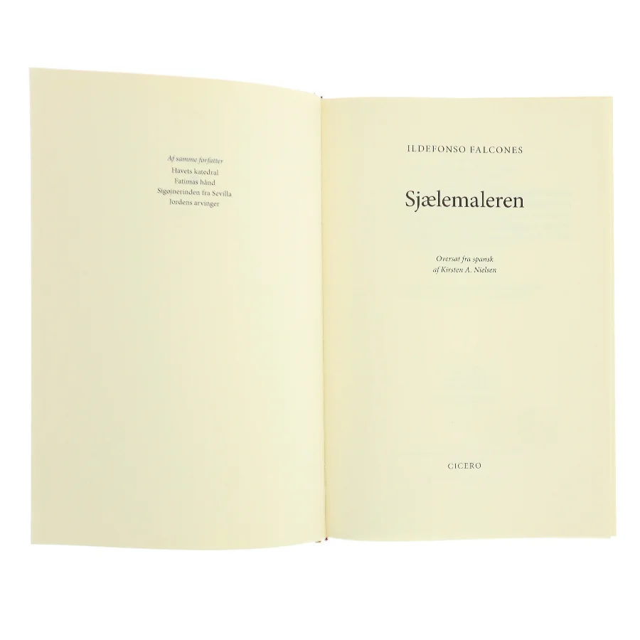 Sjælemaleren af Ildefonso Falcones (Bog)