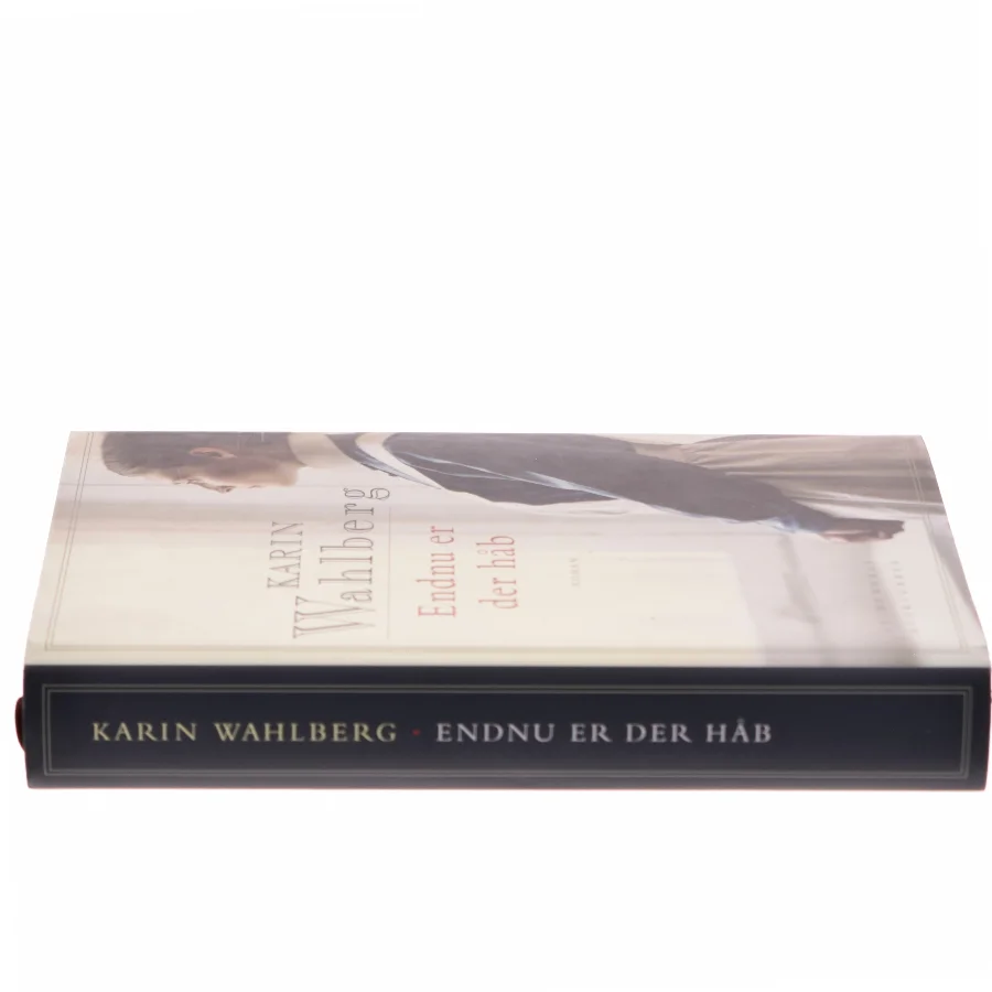 Endnu er der håb af Karin Wahlberg (Bog)