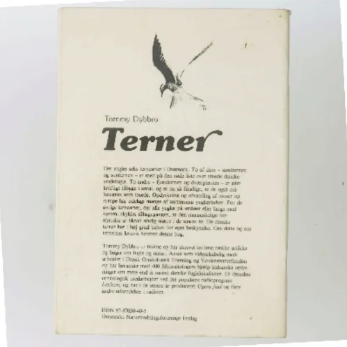 Terner af Tommy Dybbro (Bog)