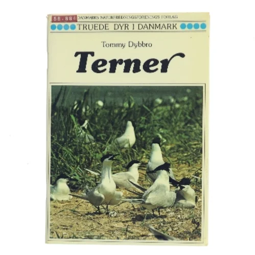Terner af Tommy Dybbro (Bog)