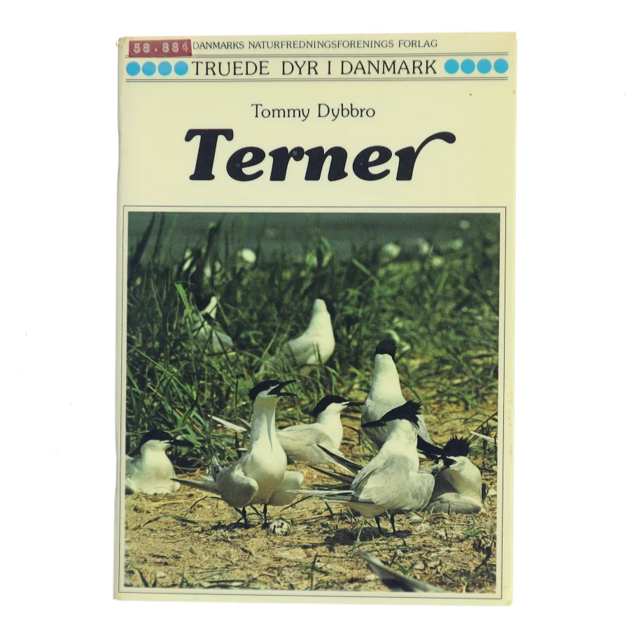 Terner af Tommy Dybbro (Bog)