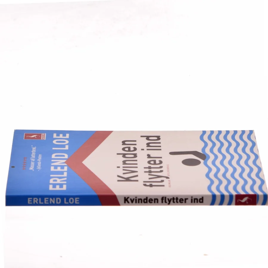Kvinden flytter ind af Erlend Loe (Bog)
