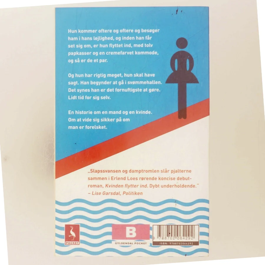 Kvinden flytter ind af Erlend Loe (Bog)