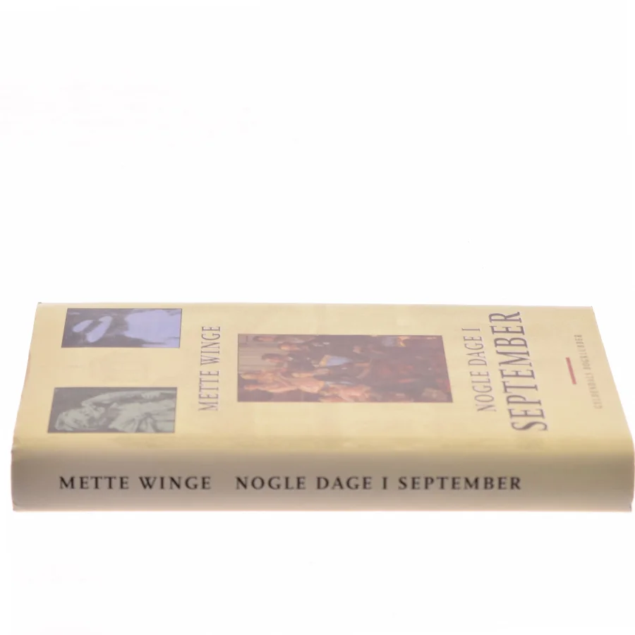 Nogle dage i september : en familieroman af Mette Winge (Bog)