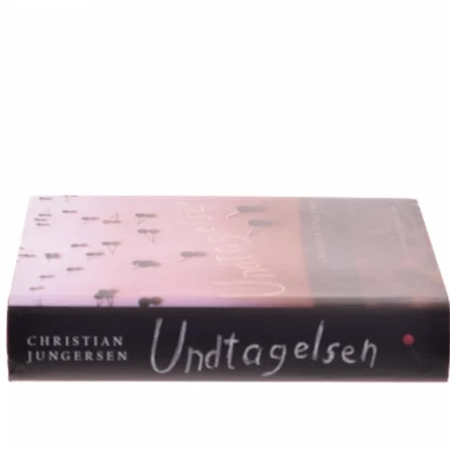 Undtagelsen : roman af Christian Jungersen (Bog)