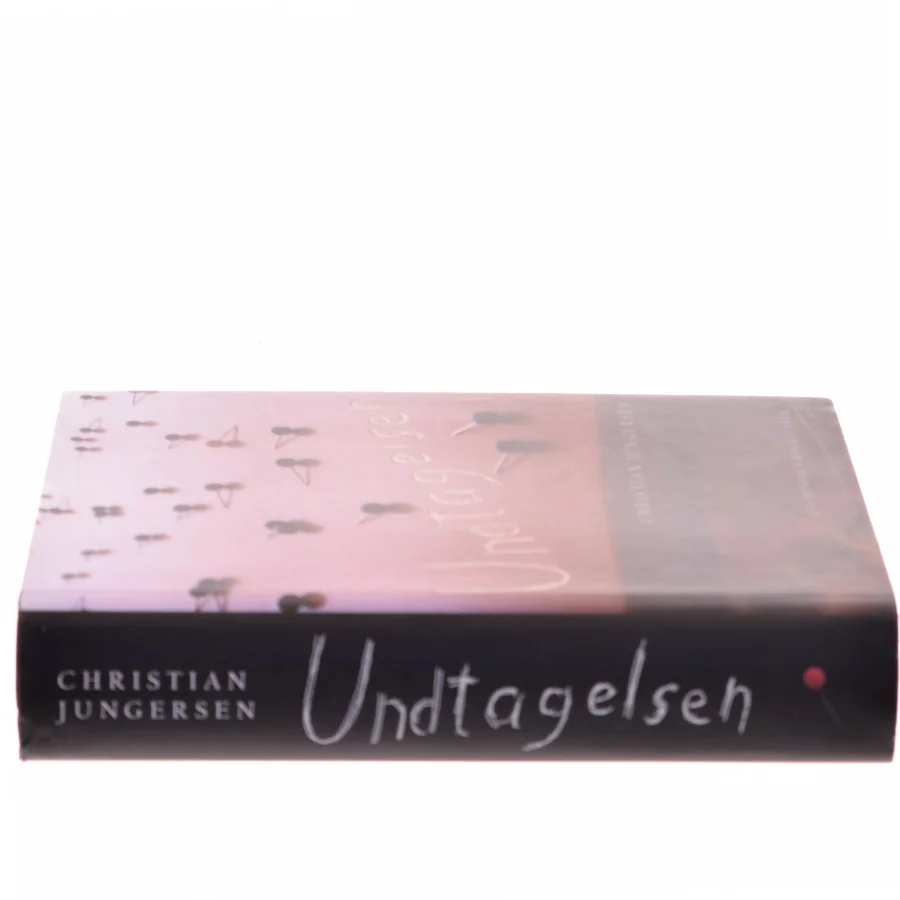 Undtagelsen : roman af Christian Jungersen (Bog)